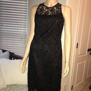 WHBM Lace Sheath Dress
